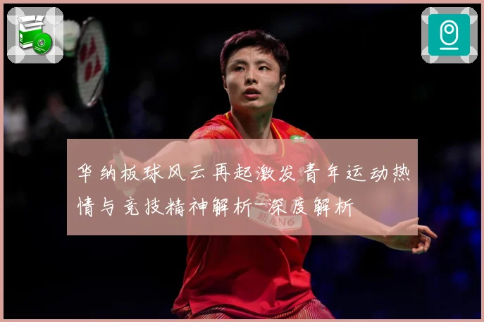 华纳板球风云再起激发青年运动热情与竞技精神解析-深度解析