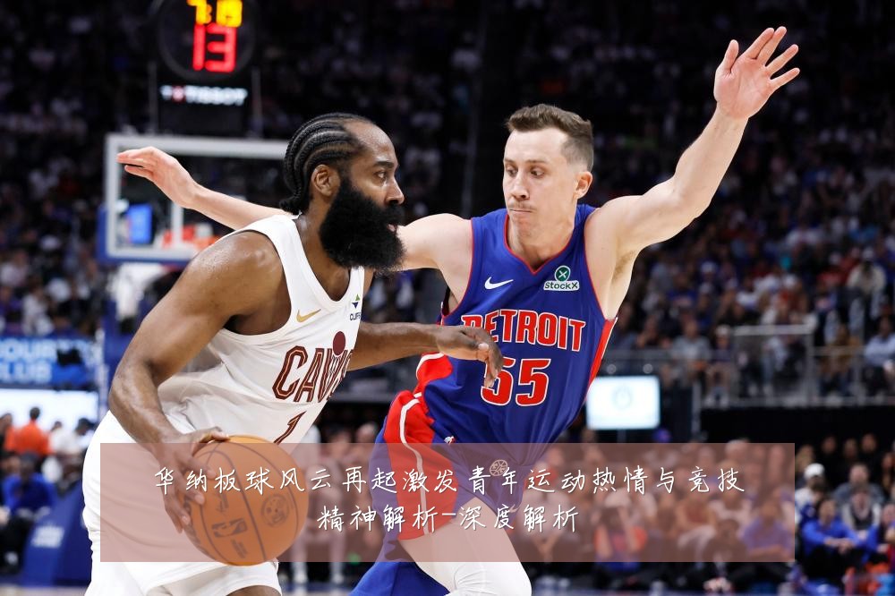 华纳板球风云再起激发青年运动热情与竞技精神解析-深度解析