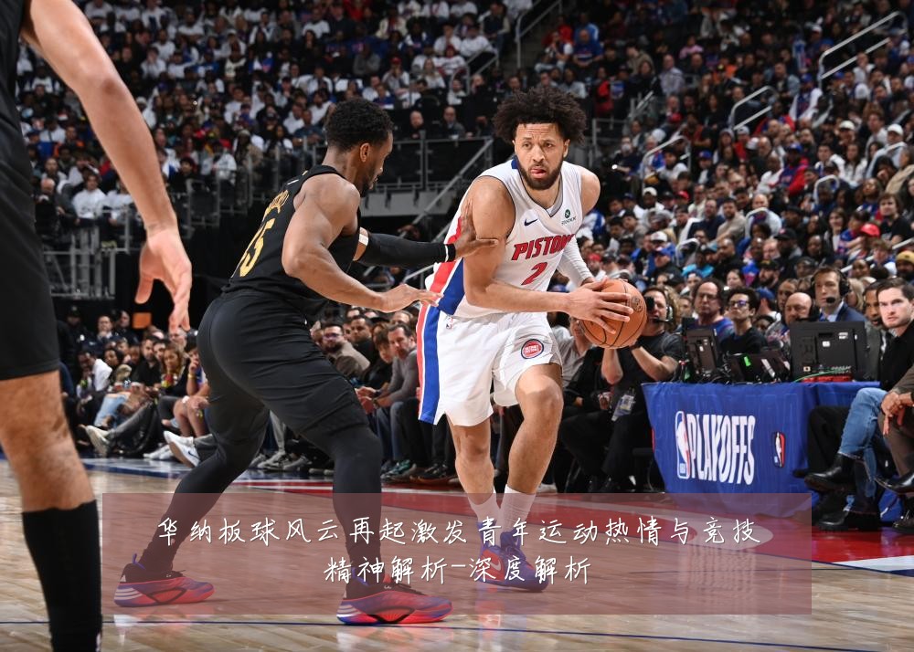 华纳板球风云再起激发青年运动热情与竞技精神解析-深度解析